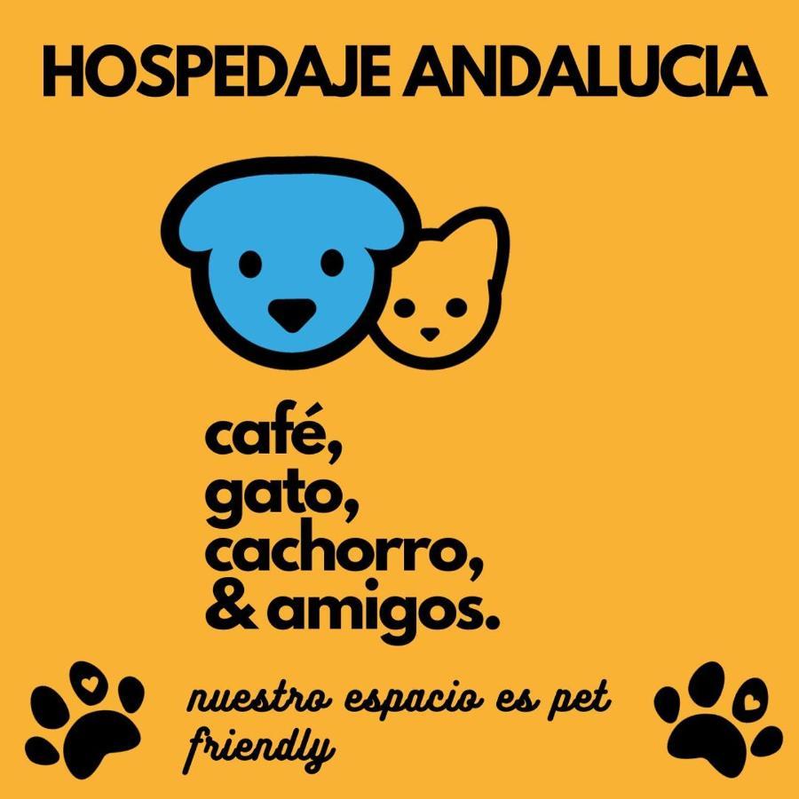 Casa Andalucia Vandrerhjem Florianópolis Eksteriør bilde